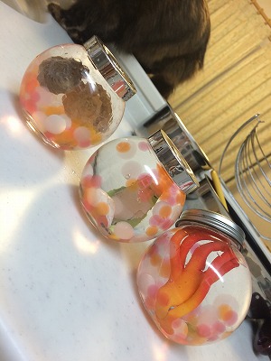 瓶詰めフィギュア