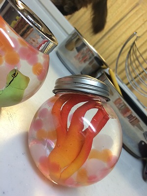 瓶詰めフィギュア