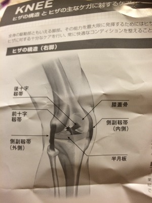 ヒザサポーター