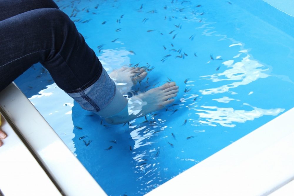 フィッシュセラピー