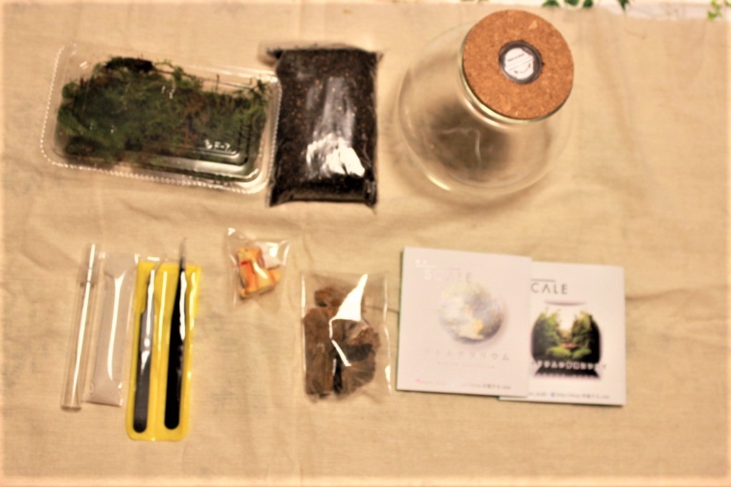 テラリウムキット