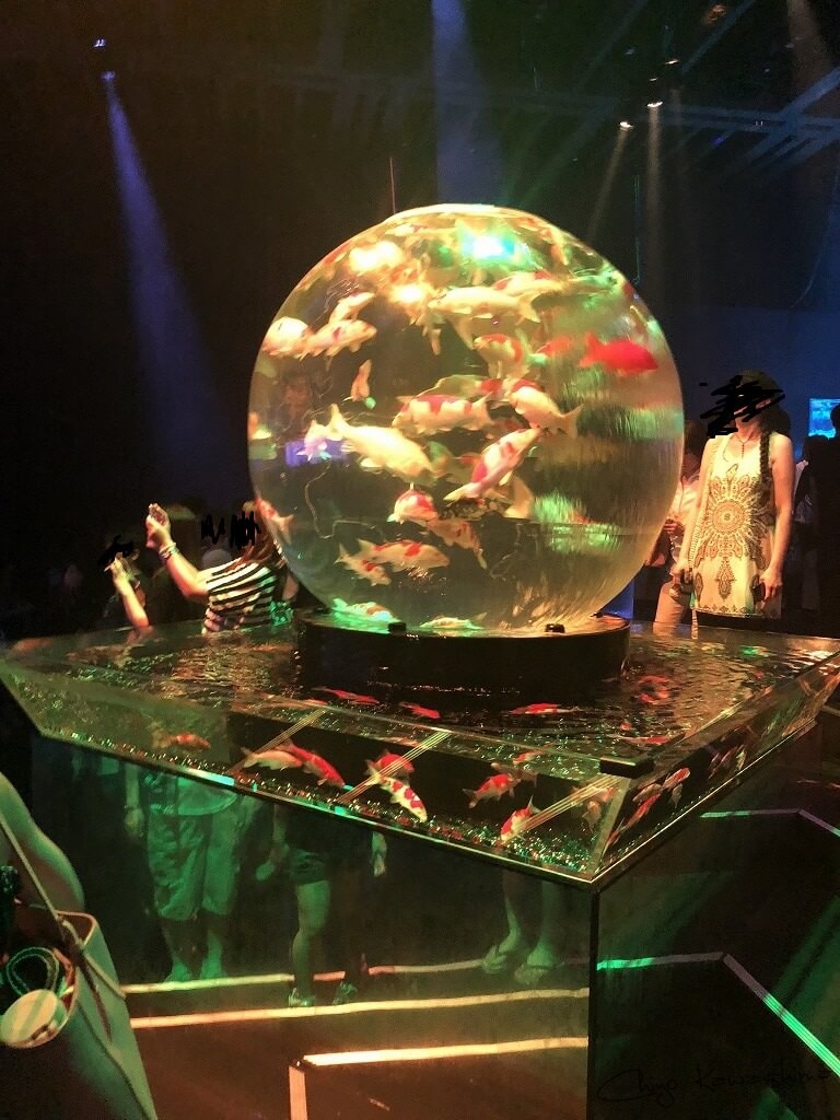 アートアクアリウム
