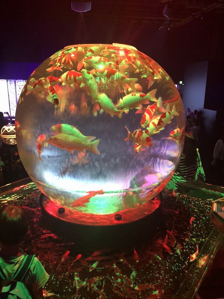 アートアクアリウム