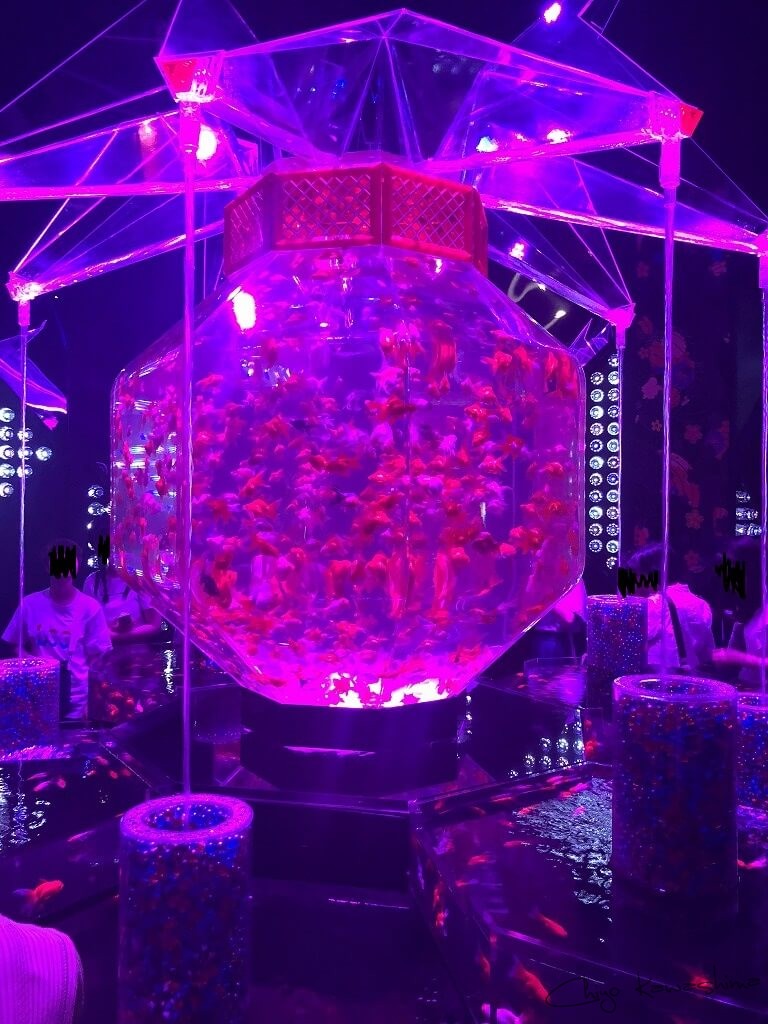 アートアクアリウム