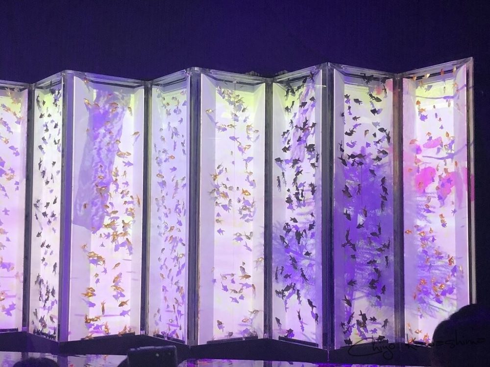 アートアクアリウム