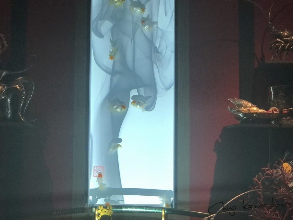 アートアクアリウム