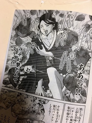 紺田照の合法レシピ