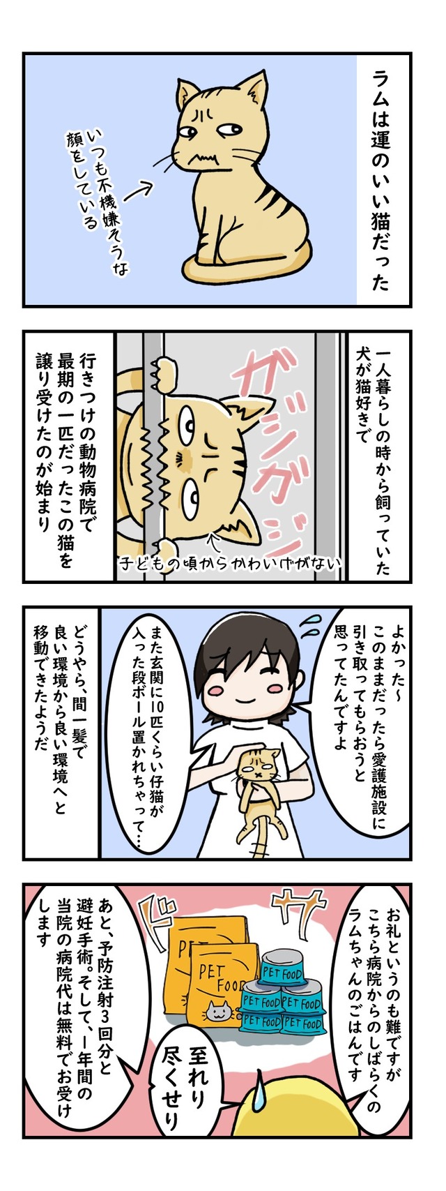 歯槽膿漏も超越する
