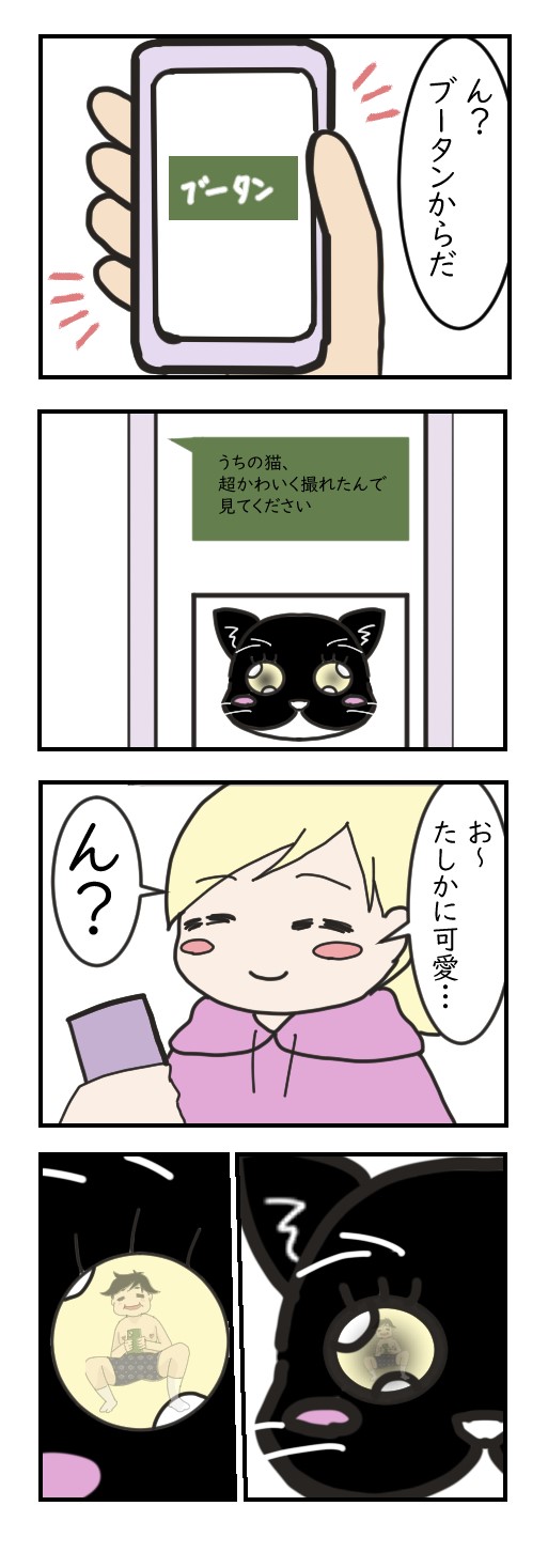 猫の瞳に映るモノ