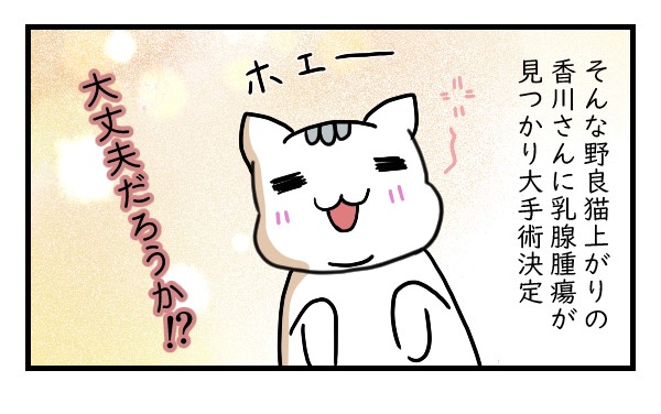 香川さんの大手術……その2｜ペット漫画