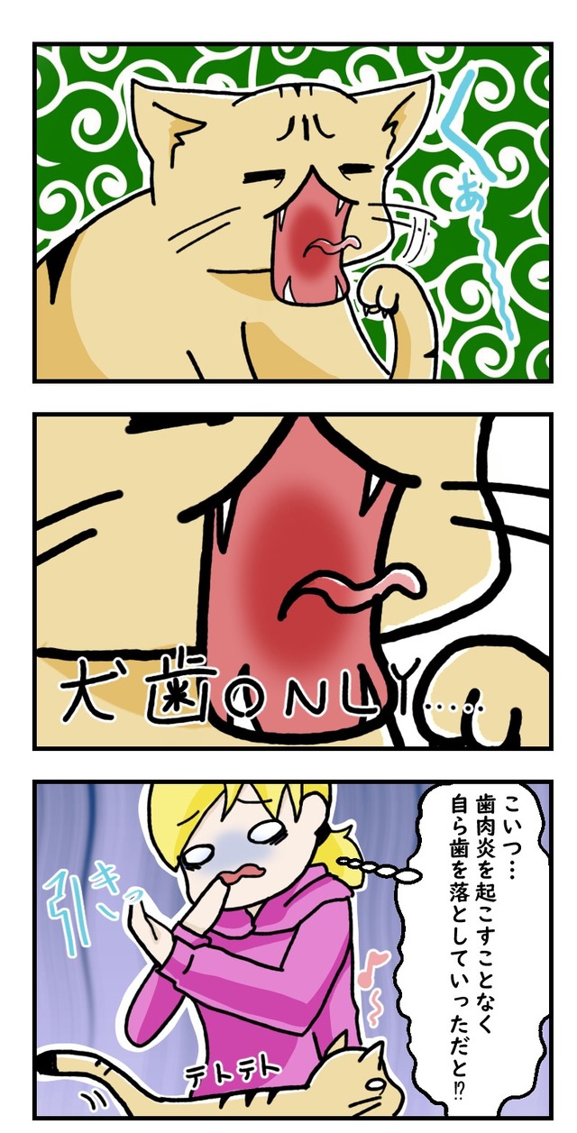 歯槽膿漏も超越する猫の漫画