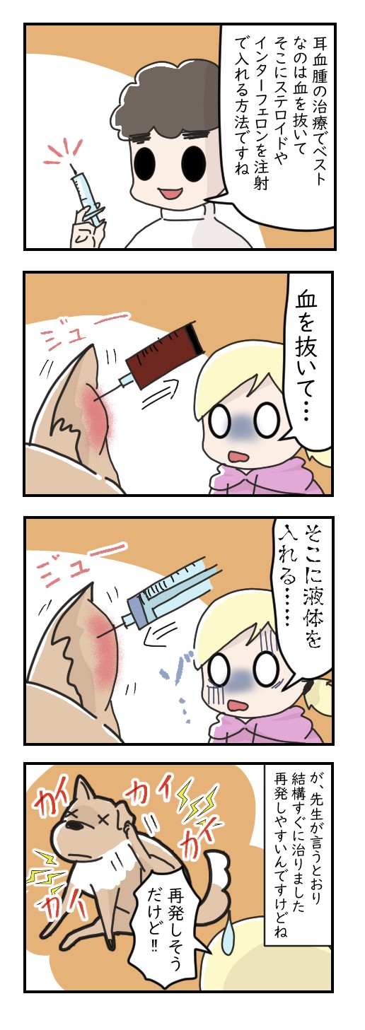 耳血腫の治療法がすごい……｜ペット漫画