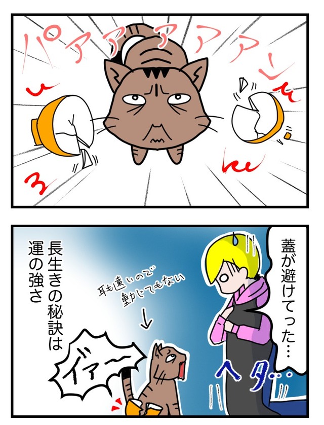猫の四コマ