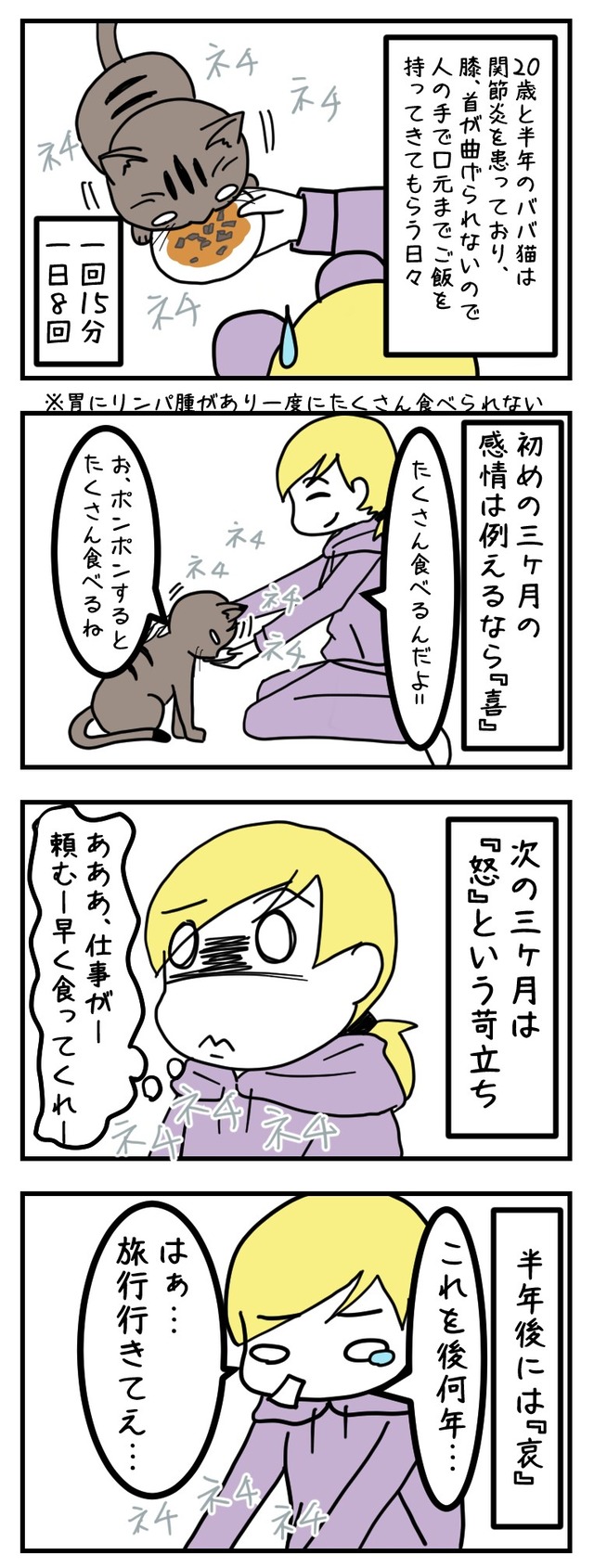 猫の介護漫画