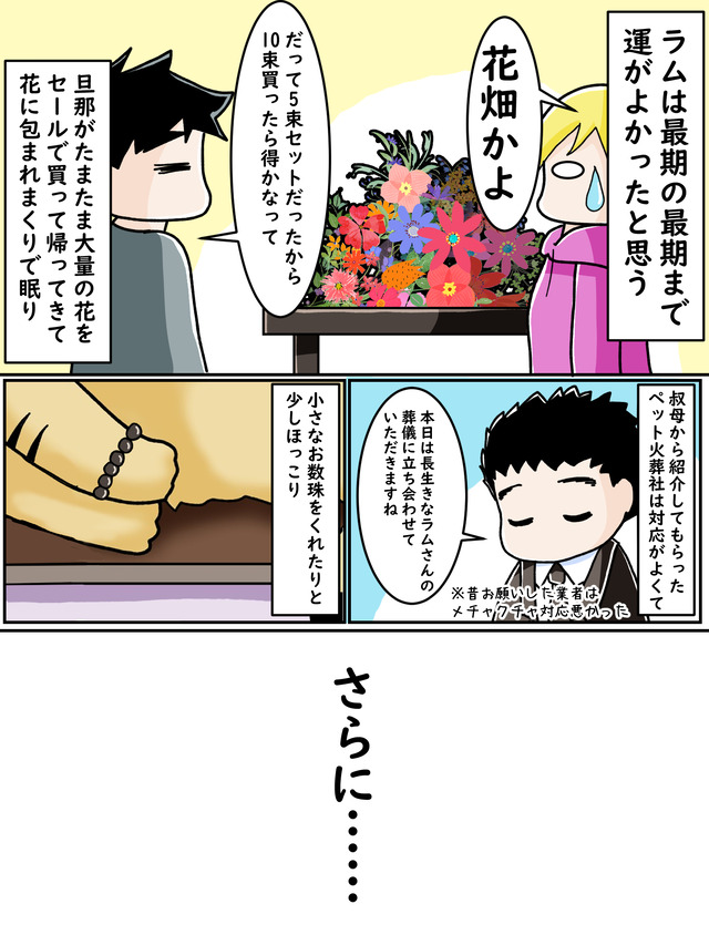 ご長寿猫の見送り1｜ペット漫画