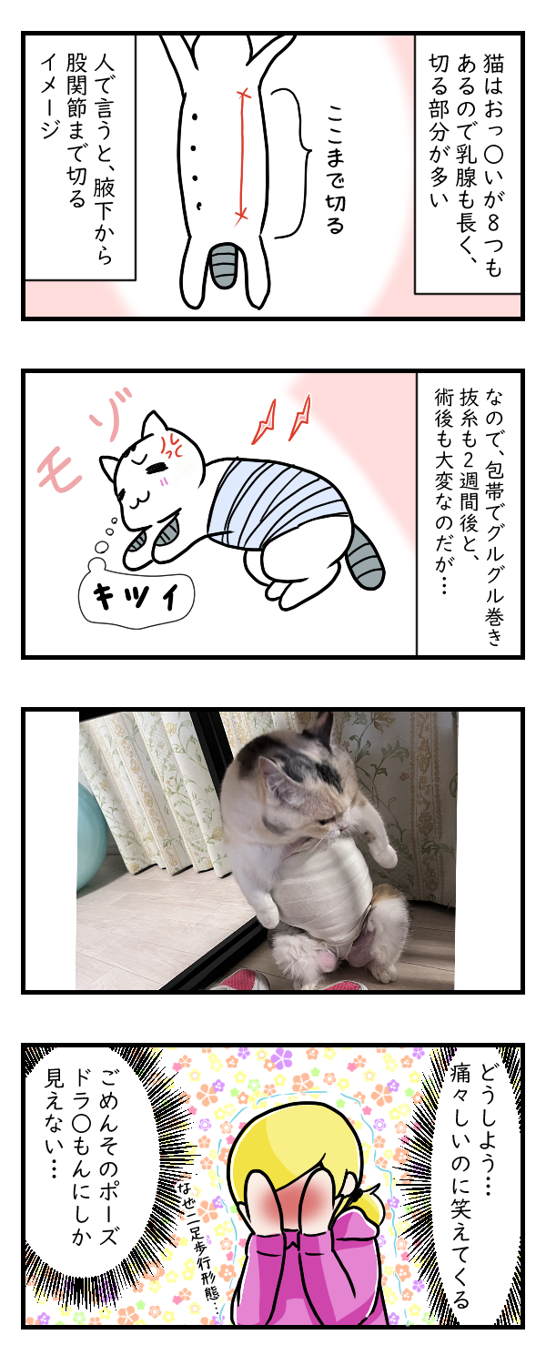 香川さんの大手術……その4｜ペット漫画