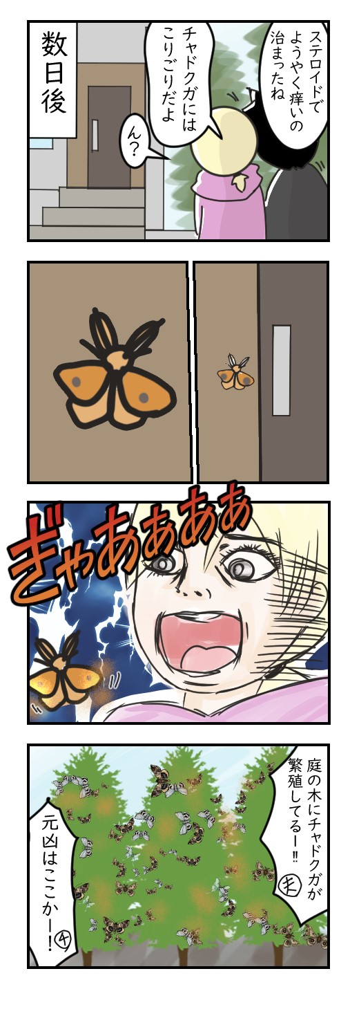 チャドクガの発生源は……｜病弱ゴリラの不健康日記