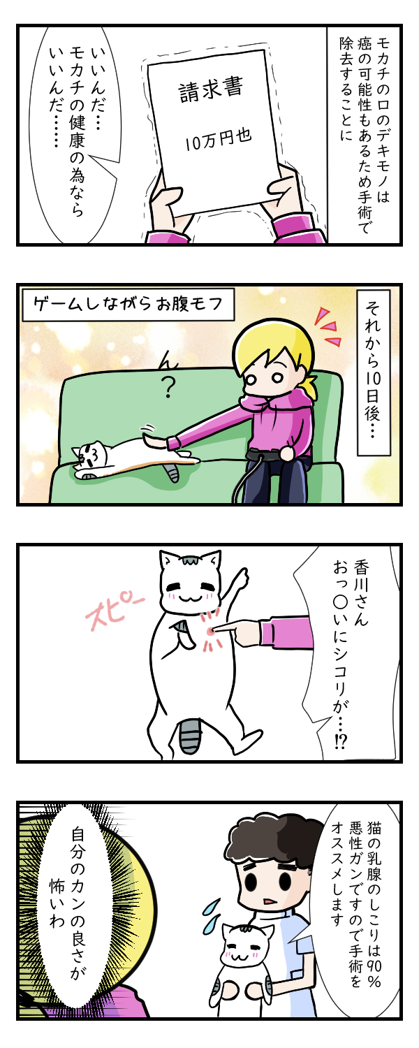 自分のカンが研ぎ澄まされていく……　その2｜ペット漫画