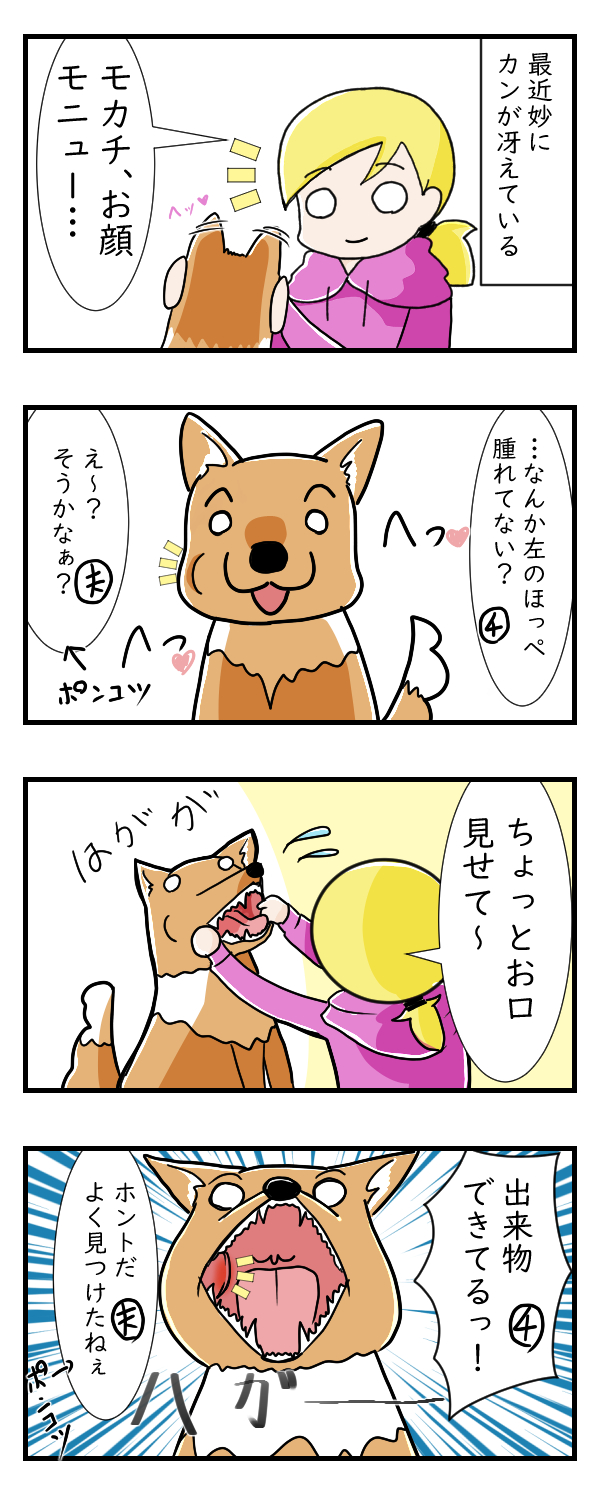 自分のカンが研ぎ澄まされていく……　その1｜ペット漫画