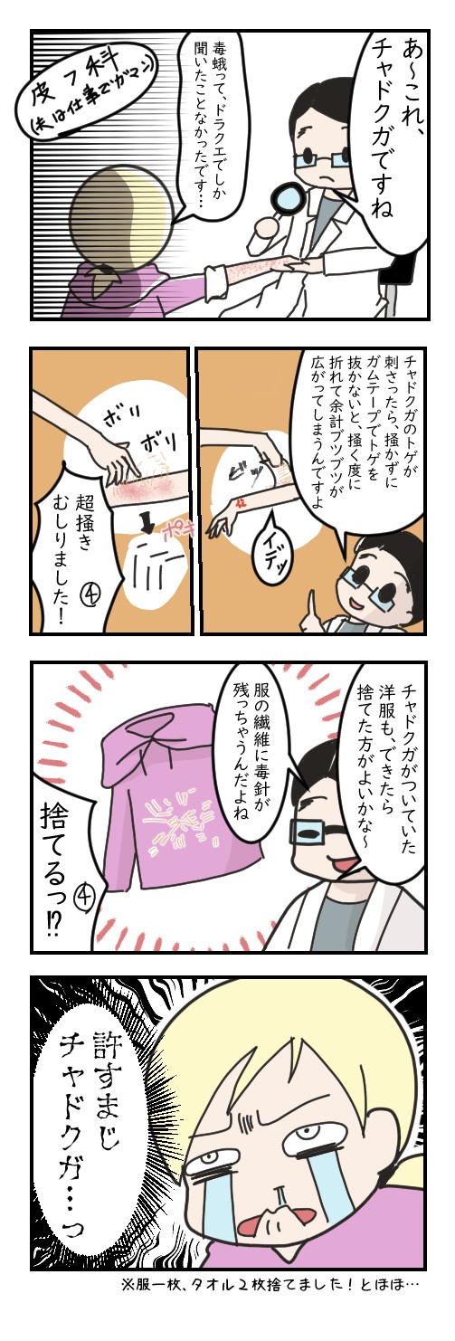 チャドクガって痒いし面倒｜病弱ゴリラの不健康日記