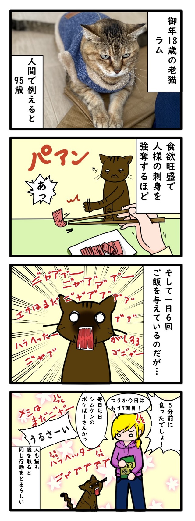 18歳の老猫ラムがご飯を何度も要求する爆笑エピソード四コマ漫画
