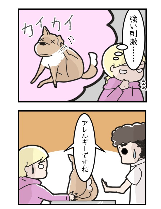 うちの犬が耳血腫になった話｜ペット漫画