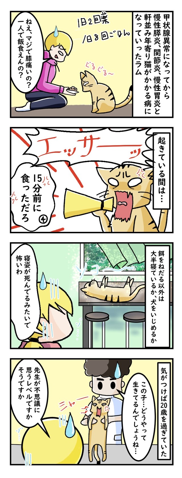 医者が首をかしげる長寿漫画