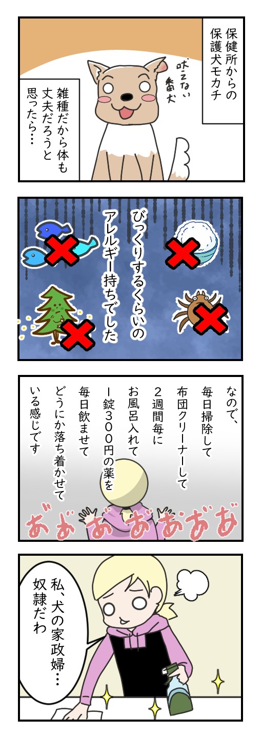 アレルギー持ちの犬｜ペット漫画