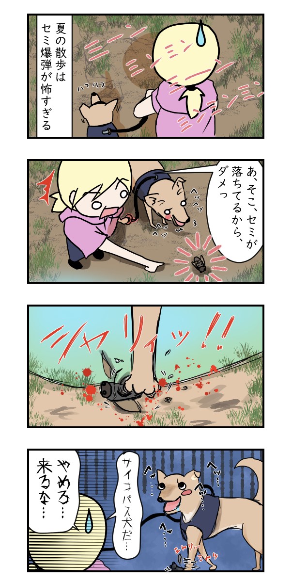 セミ爆弾潰し