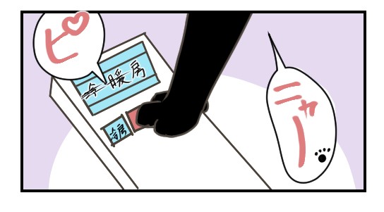 猫によって熱中症になる｜日常漫画