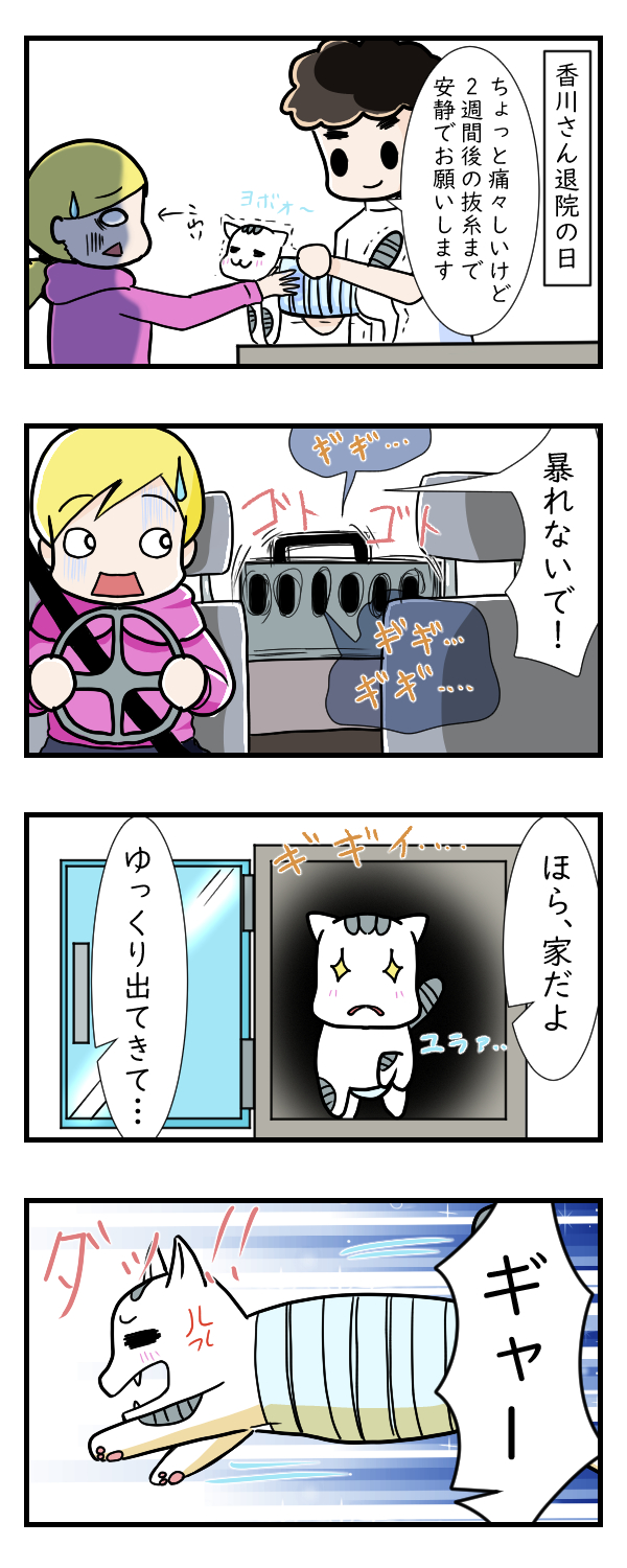 香川さんの大手術……その3｜ペット漫画