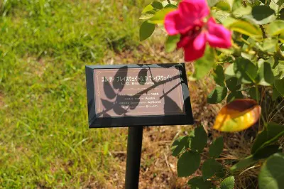 ネームプレート