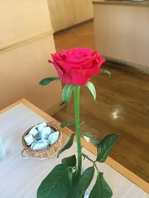 バラの花
