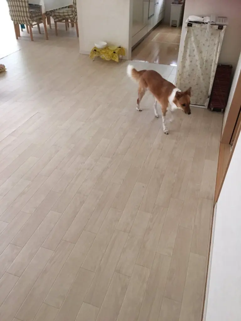 フロアマット