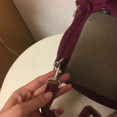 肩紐