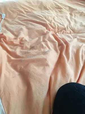 掃除後