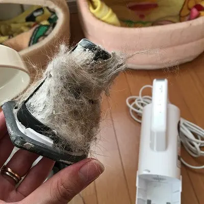 フィルター