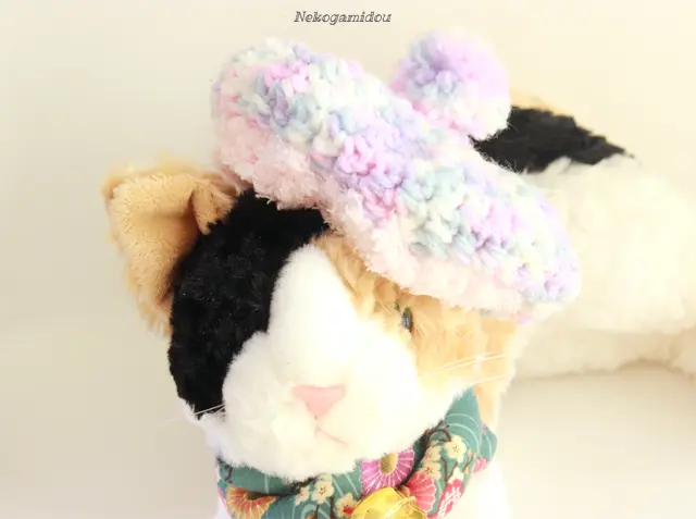 子猫