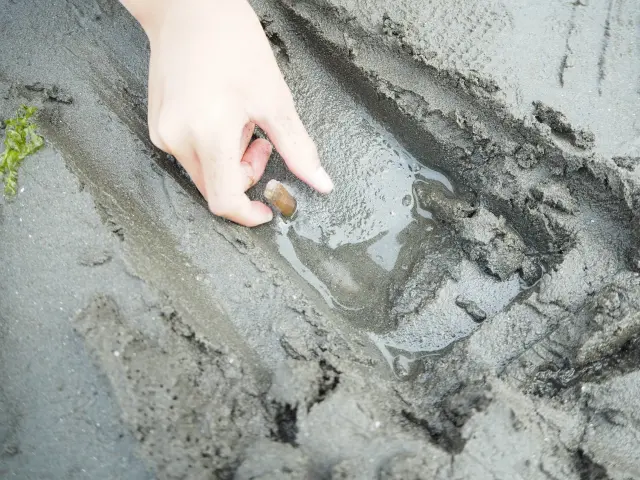 潮干狩り