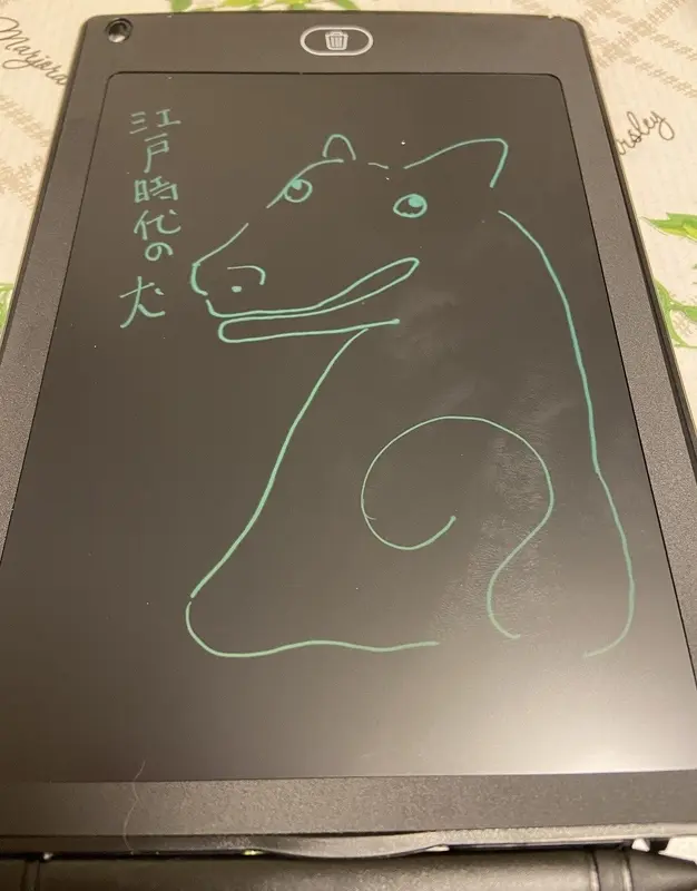 電子メモパット