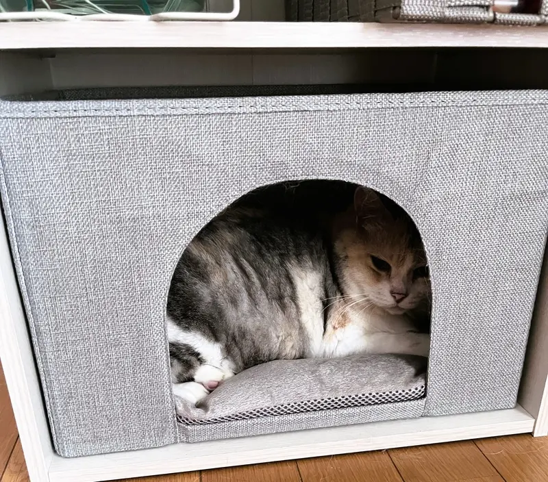 ペットハウス