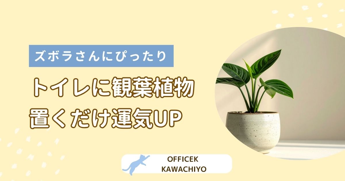 トイレの観葉植物