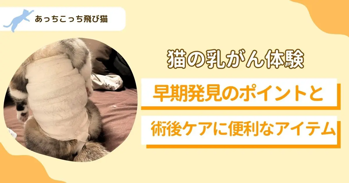 乳がん