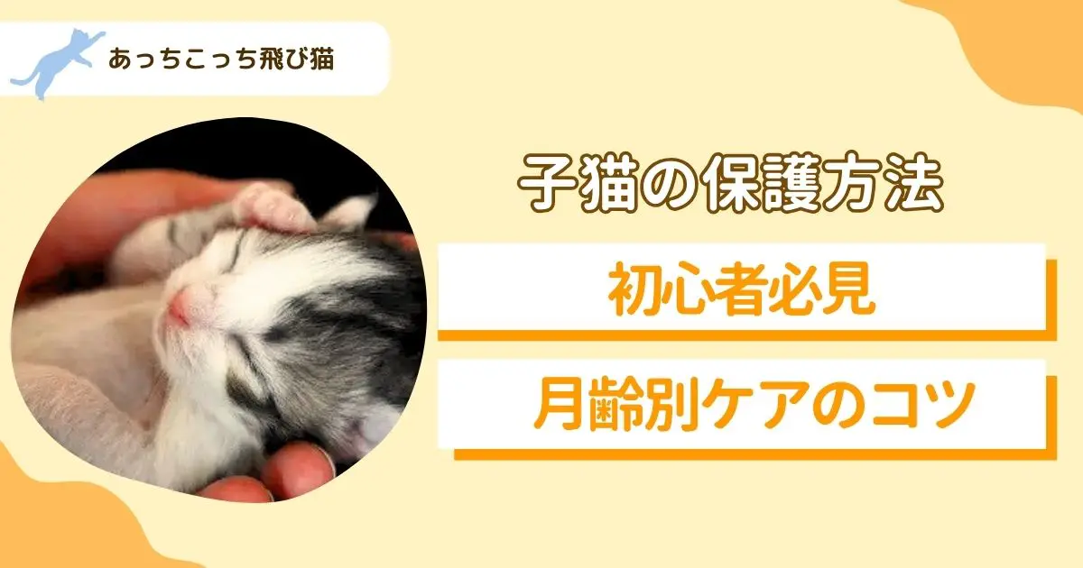 猫の育て方