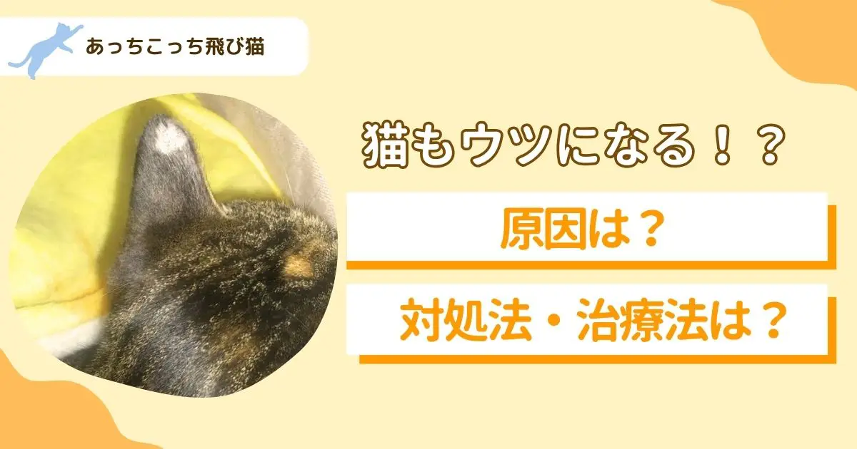 猫の鬱