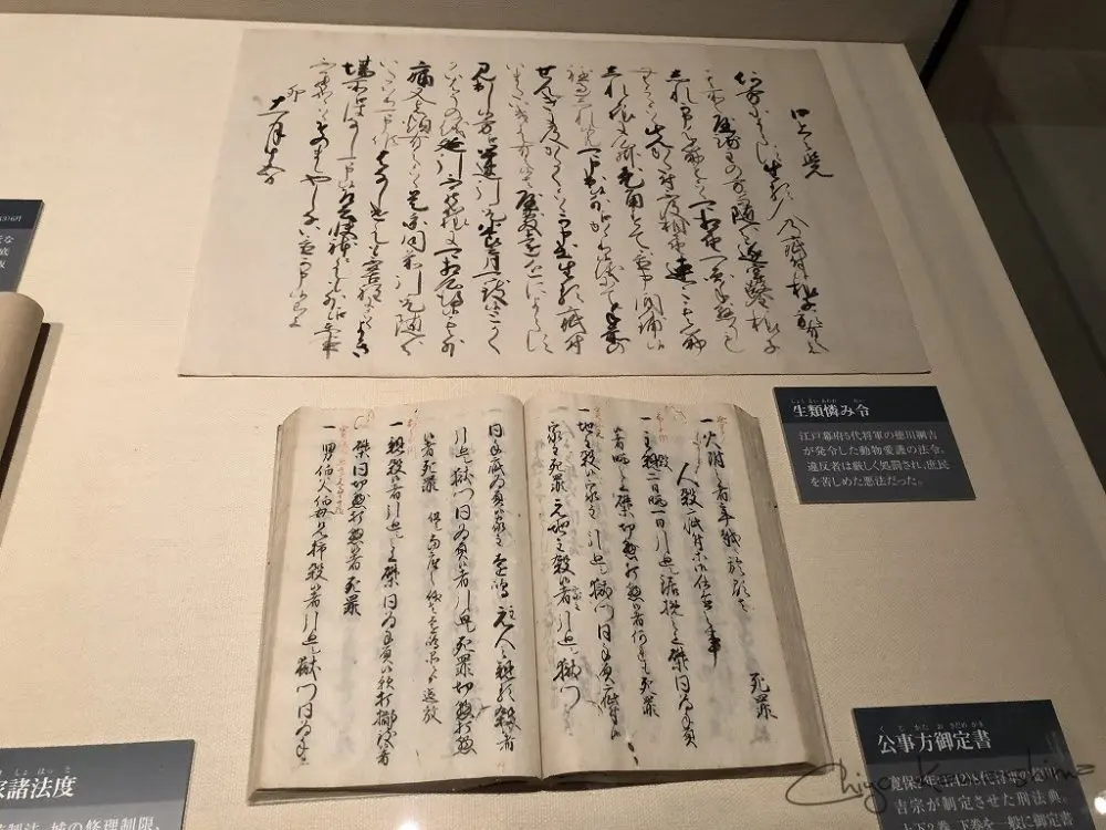 生類憐れみの令