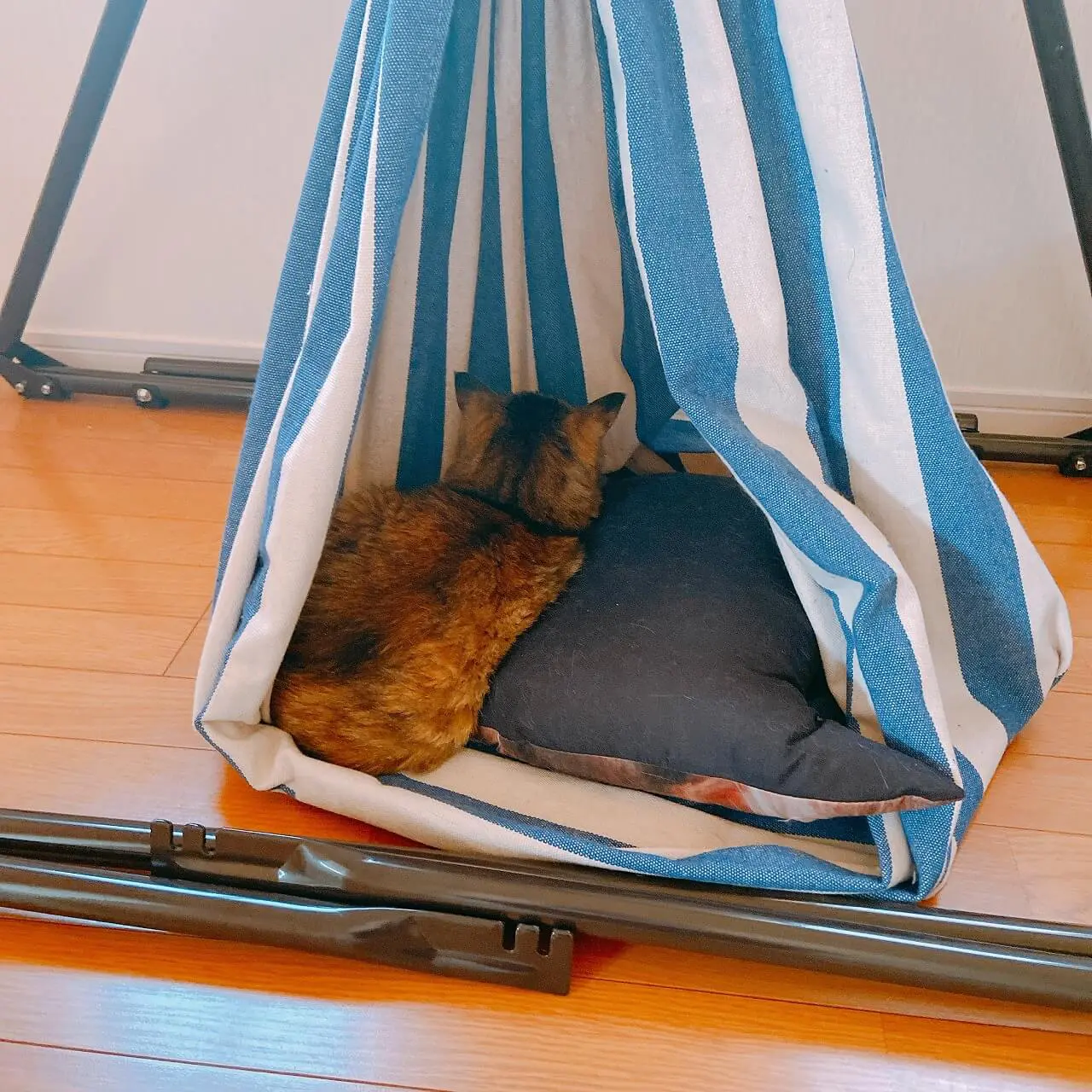 ハンモック