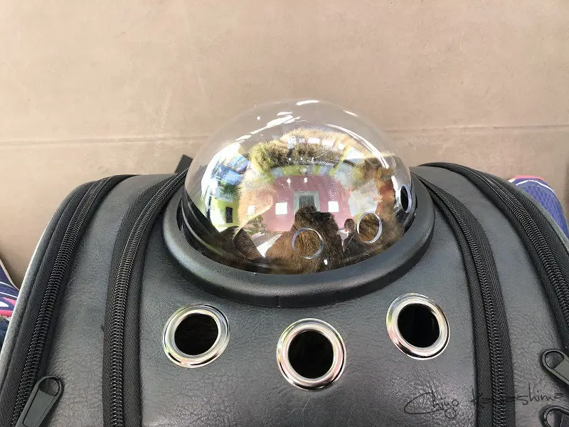 ペットリュック