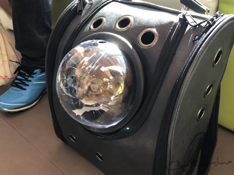 ペットキャリー