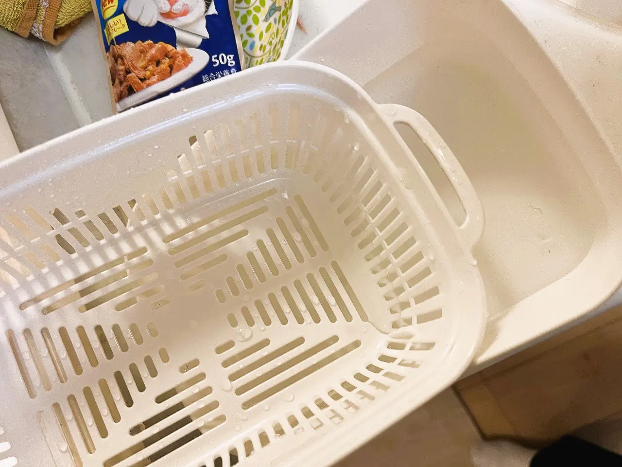豆苗プランター